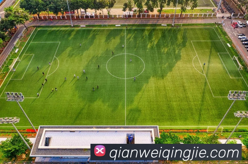 开云APP 高清赛事图